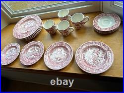 19 Pc Staffordshire Engravings Wild Rose Dinnerware Set Red Pink 5/4 Pc -Saucer