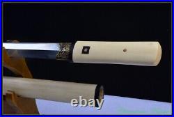 Chinese Jian SuFeng Sword Pattern Steel Blade Full Tang Battle Ready Sharp #4290