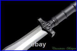 Chinese Sword Spear Pattern Steel Octahedral Full Tang Blade Battle Ready #4610