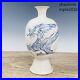 Chinese-antiques-Song-dynasty-porcelain-manual-Dragon-pattern-vase-Collection-01-wb