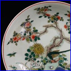 Collect Chinese porcelain Colorful flower and bird pattern appreciation plate
