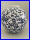 Ming-Dynasty-Ginger-Jar-Floral-and-Fruit-Pattern-Blue-and-White-01-mgr