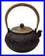 Vintage-Asian-Iron-Teapot-Kettle-with-Bronze-Handle-Lid-Chinese-Zodiac-Pattern-01-fkr