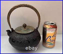 Vintage Asian Iron Teapot Kettle with Bronze Handle & Lid, Chinese Zodiac Pattern