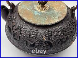 Vintage Asian Iron Teapot Kettle with Bronze Handle & Lid, Chinese Zodiac Pattern